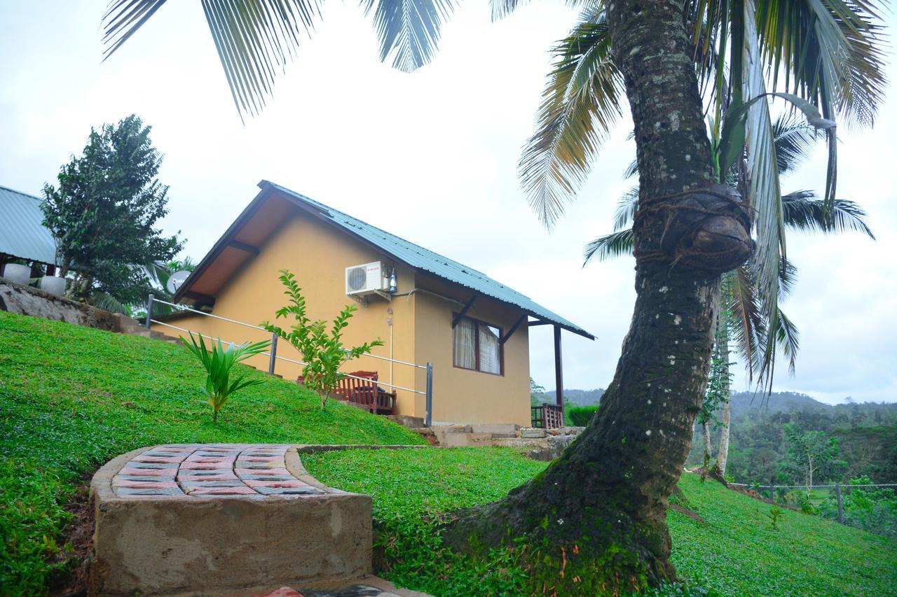 Rainforest Mount Lodge Денияйя Экстерьер фото